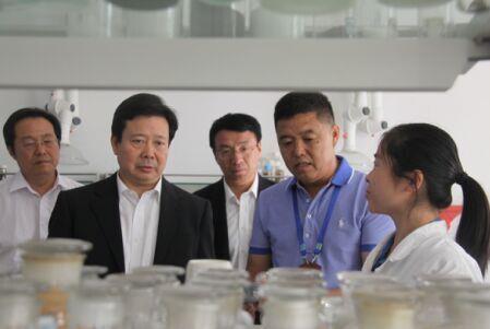 加大創(chuàng)新力度 運(yùn)用互聯(lián)網(wǎng)開拓市場 提升企業(yè)核心競爭力 ——山東省委常委、青島市委書記李群蒞臨海利爾考察
