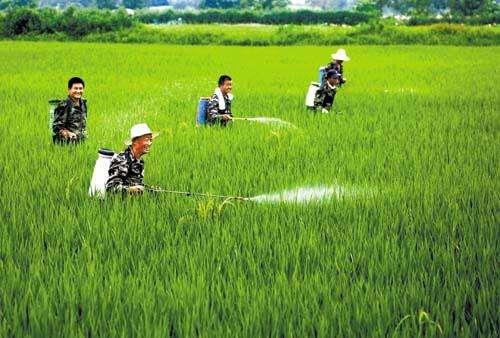 農(nóng)資市場魚龍混雜，抗性真的有宣傳的那么嚴(yán)重嗎？